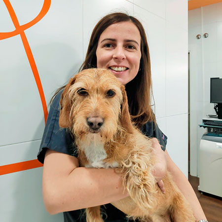 Hospital Veterinario Buenavista